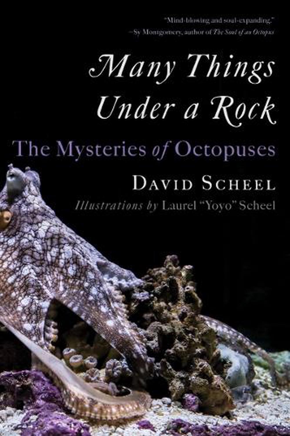 Many Things Under a Rock, 9781324076292