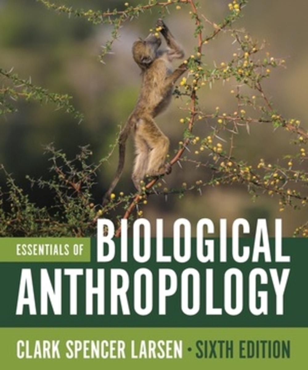 Essentials of Biological Anthropology, 9781324084013