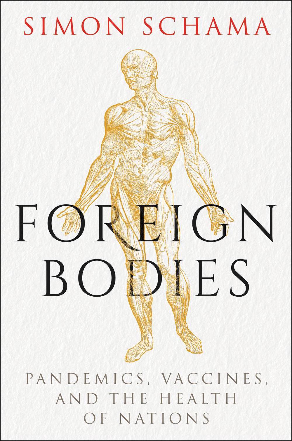 Foreign Bodies, 9781328974839