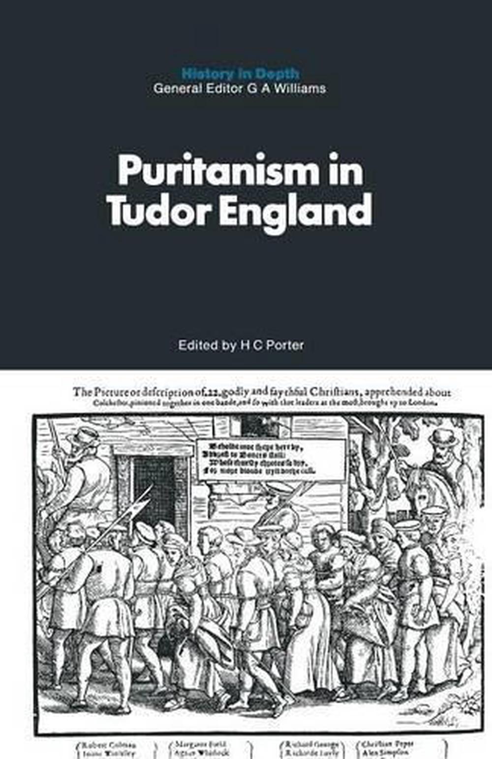 Puritanism in Tudor England, 1st Edition, 9781349005444