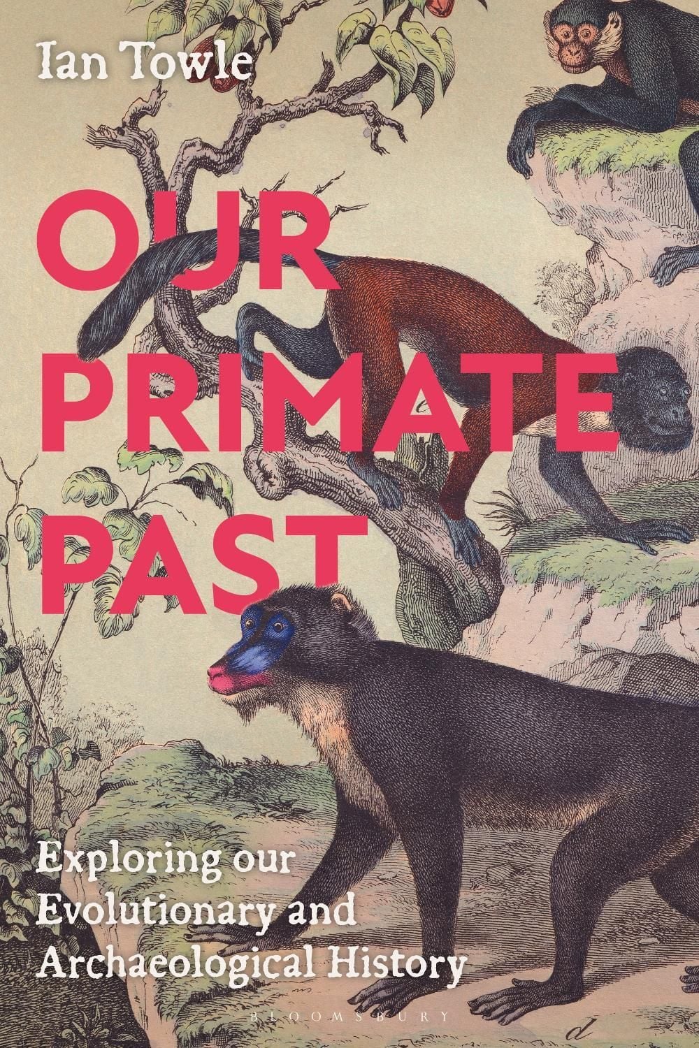 Our Primate Past by Dr Ian Towle - ISBN: 9781350547988