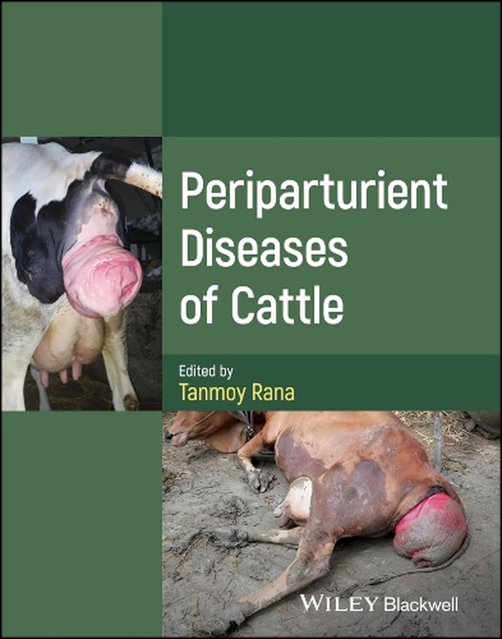 Periparturient Diseases of Cattle, 9781394203970