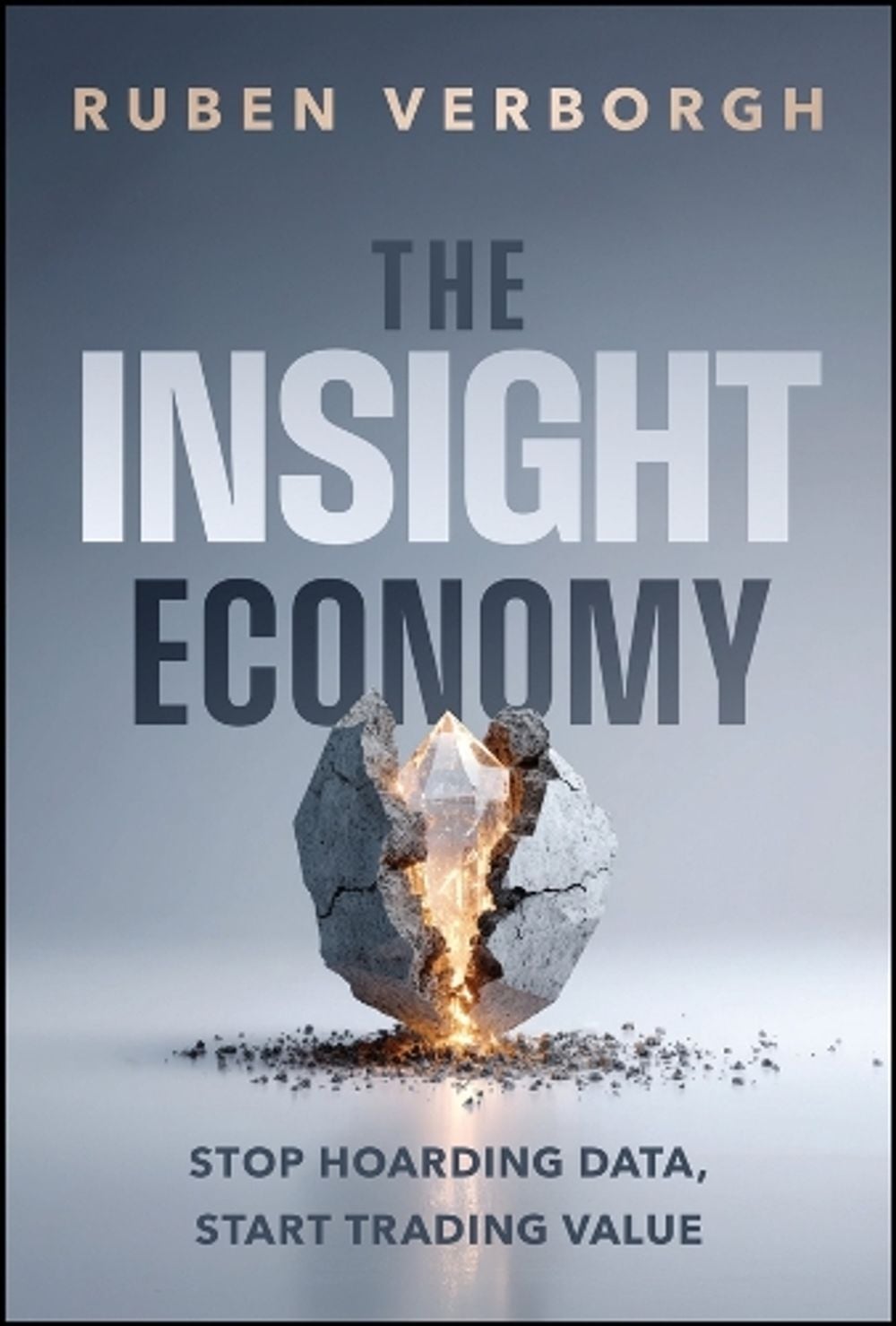 The Insight Economy by Ruben Verborgh - ISBN: 9781394416349