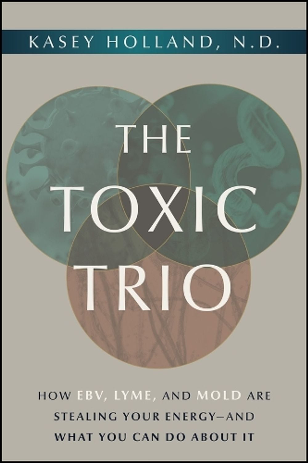 The Toxic Trio by Kasey Holland - ISBN: 9781394418893