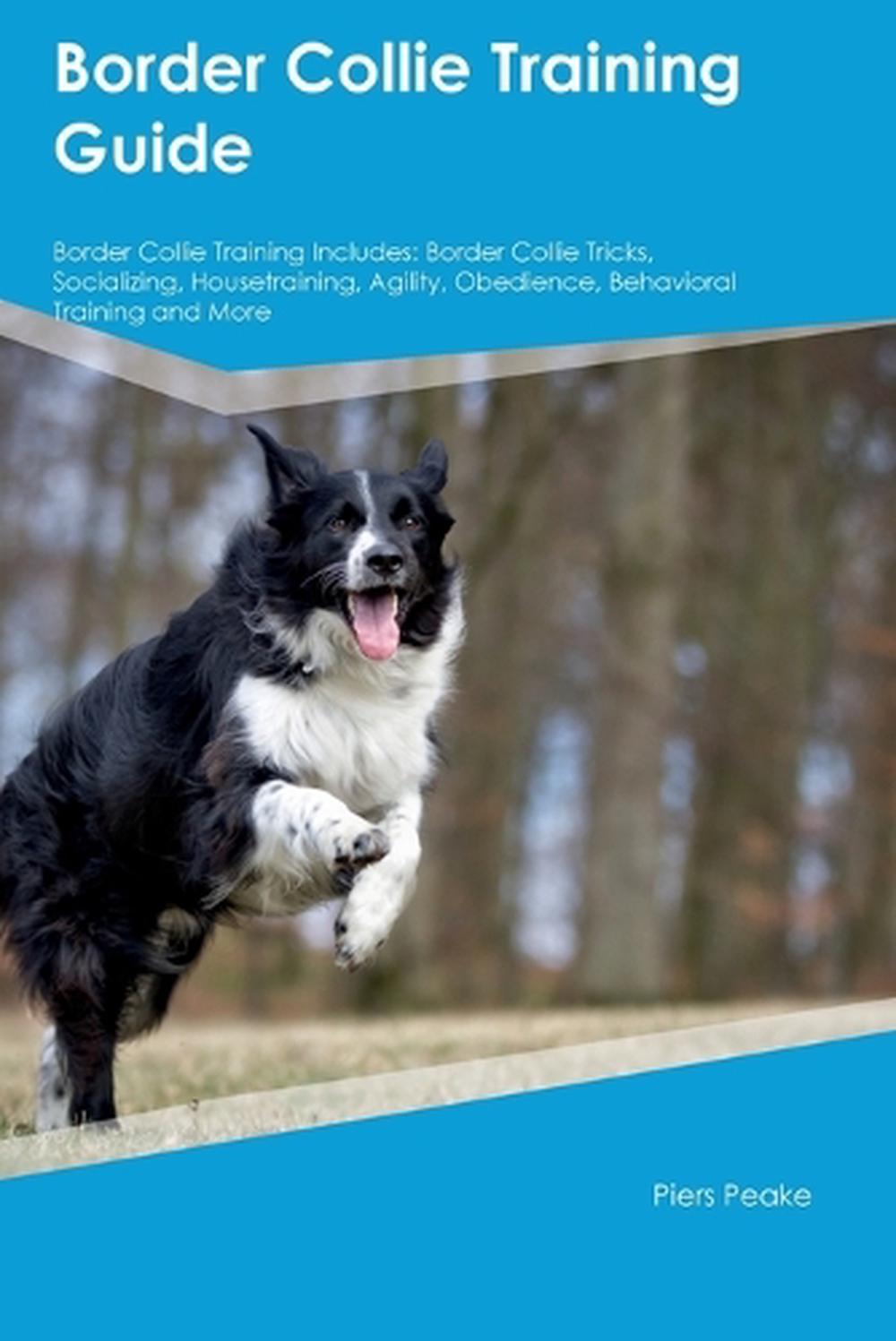 Border Collie Training Guide Border Collie Training Includes by