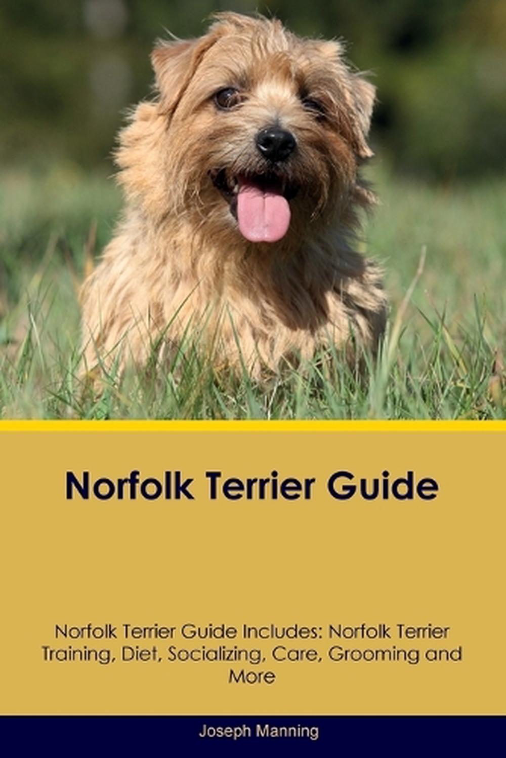 Norfolk Terrier Guide Norfolk Terrier Guide Includes, 9781395863500