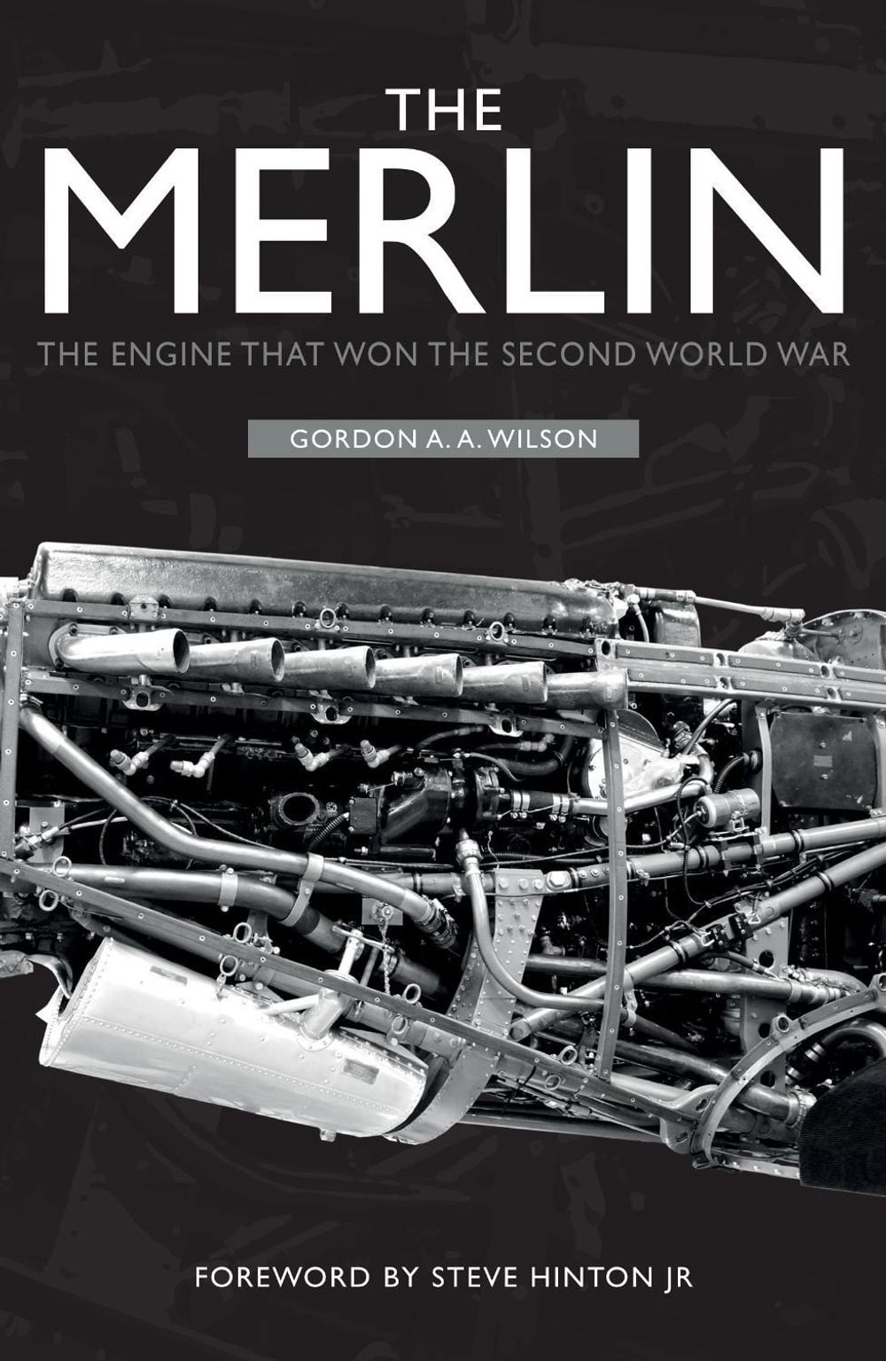The Merlin by Gordon A.A. Wilson - ISBN: 9781398103252