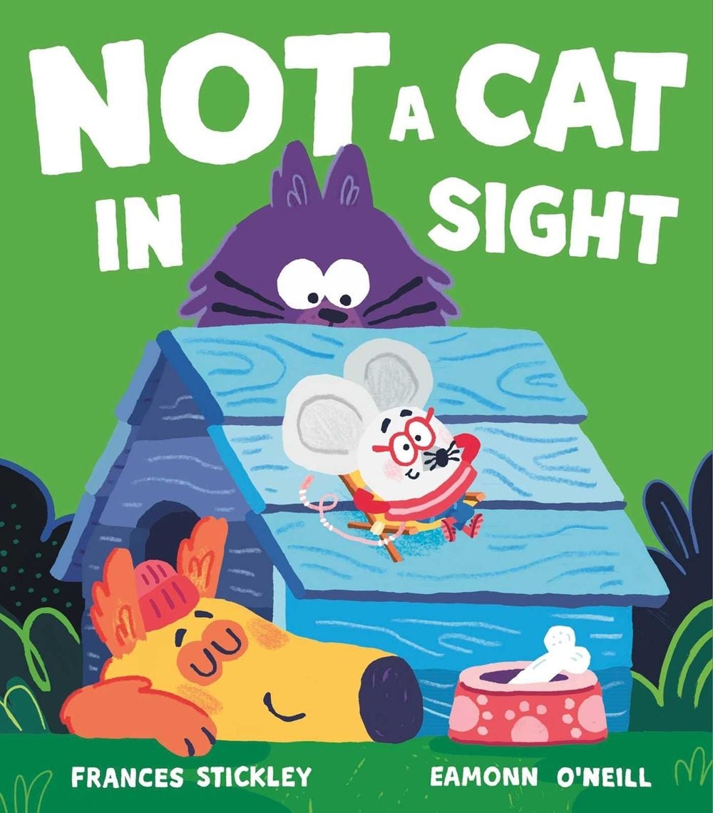 Not a Cat In Sight by Frances Stickley - ISBN: 9781398508941