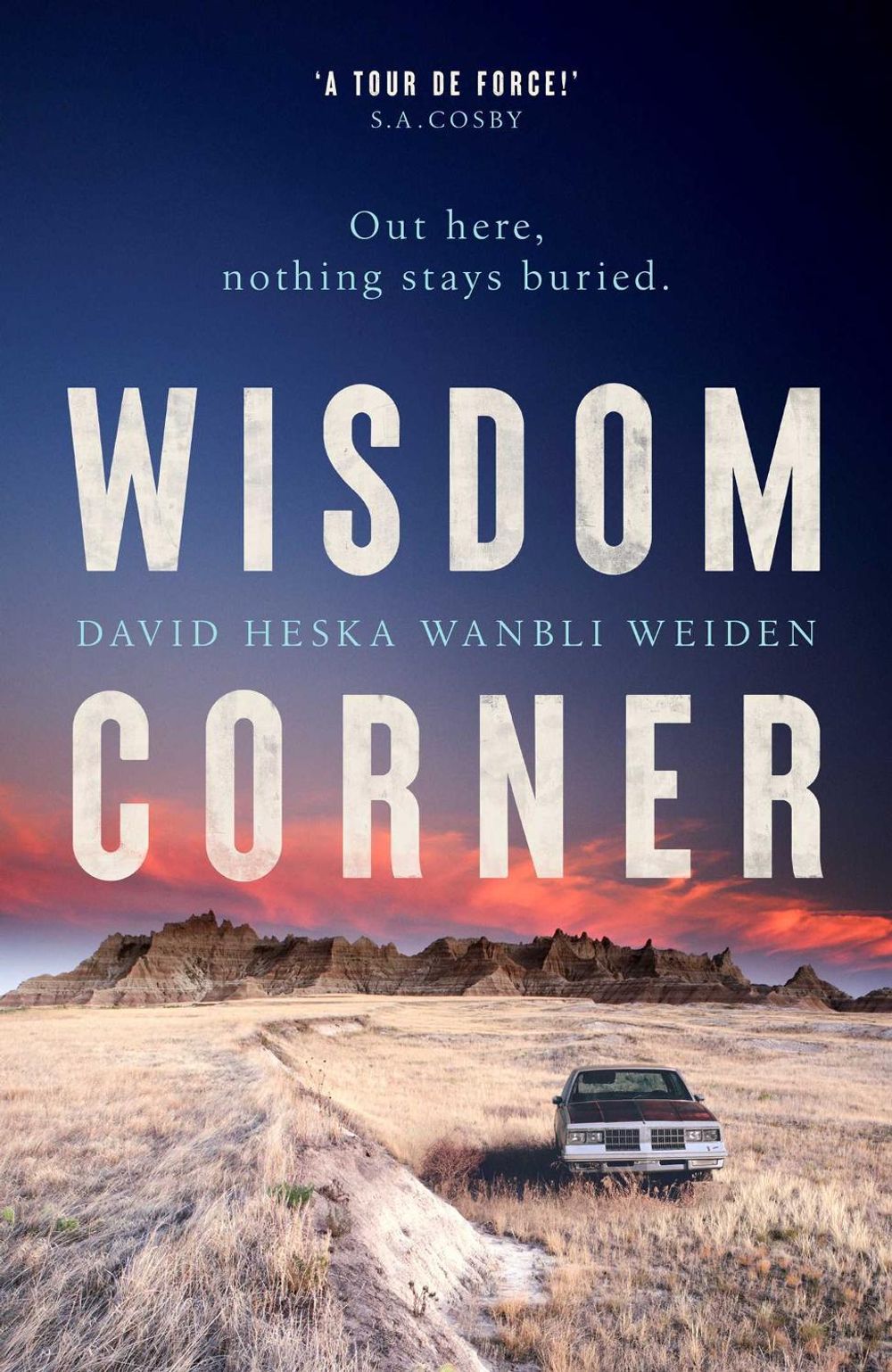 Wisdom Corner by David Heska Wanbli Weiden - ISBN: 9781398509344