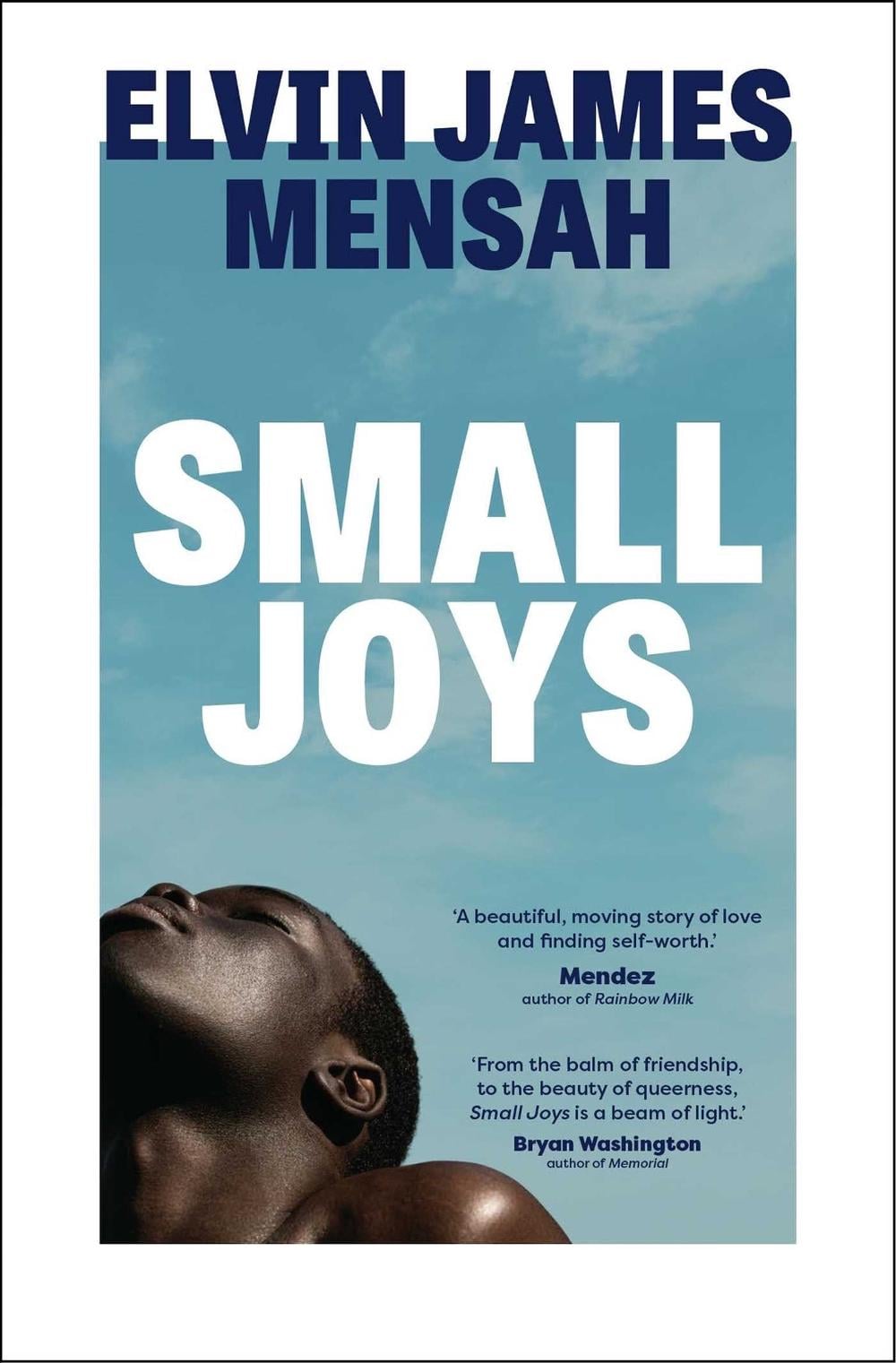 Small Joys by Elvin James Mensah - ISBN: 9781398514911