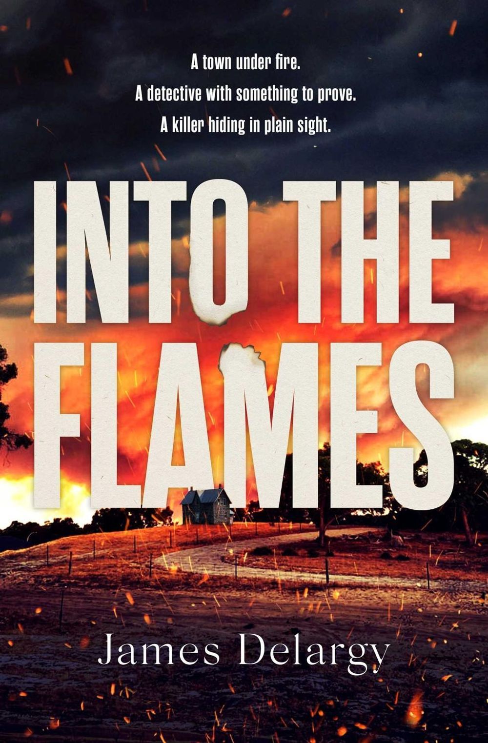 Into the Flames by James Delargy - ISBN: 9781398525146