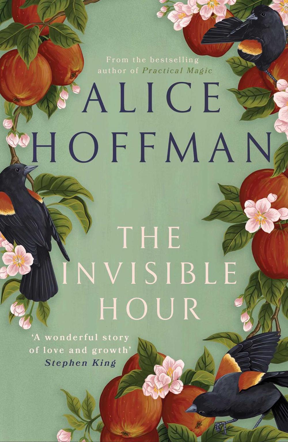 The Invisible Hour by Alice Hoffman - ISBN: 9781398526181