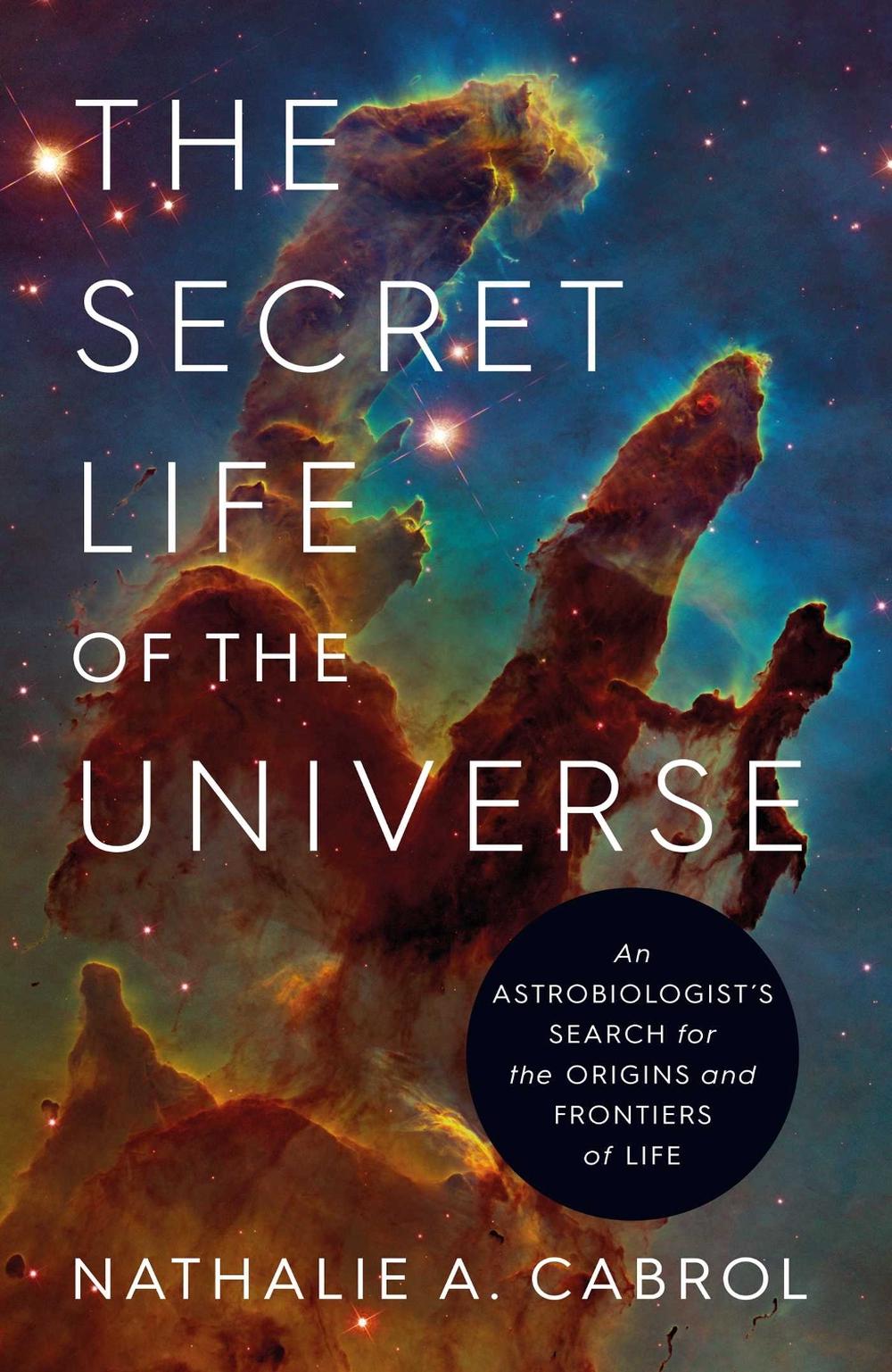 The Secret Life of the Universe, 9781398531284