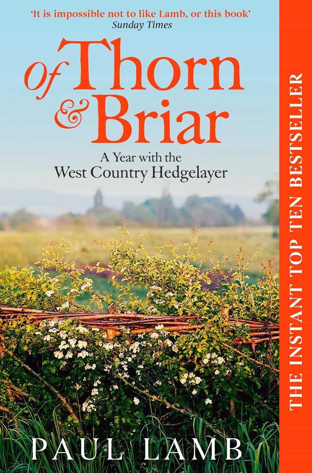Of Thorn & Briar by Paul Lamb - ISBN: 9781398535053