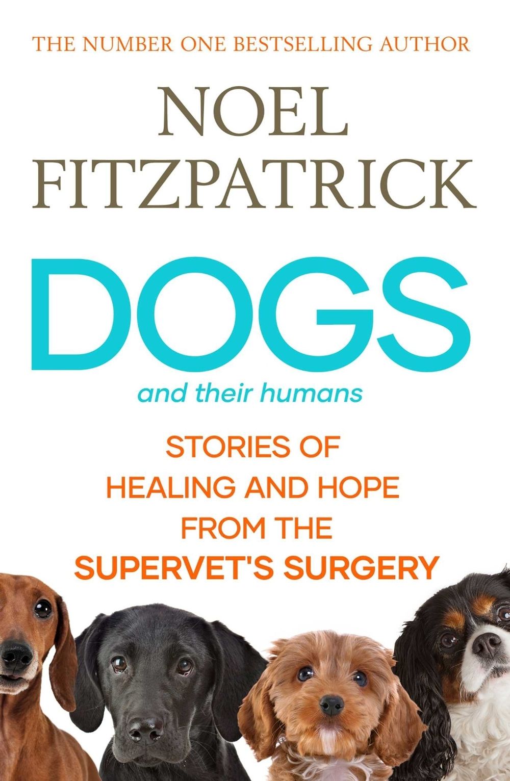 Dogs and Their Humans by Noel Fitzpatrick - ISBN: 9781398541498