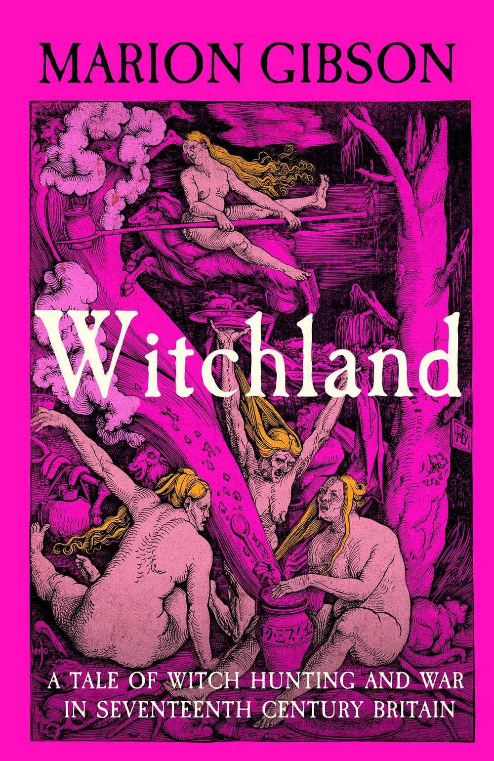 Witchland by Marion Gibson - ISBN: 9781398545144