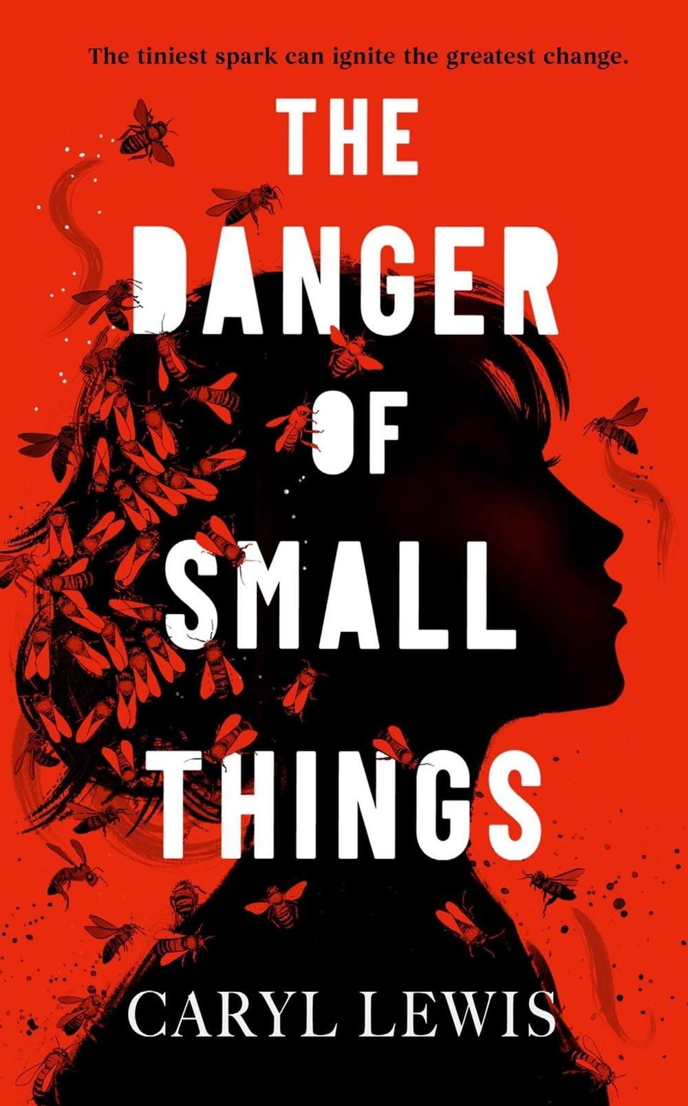 The Danger of Small Things by Caryl Lewis - ISBN: 9781398549272