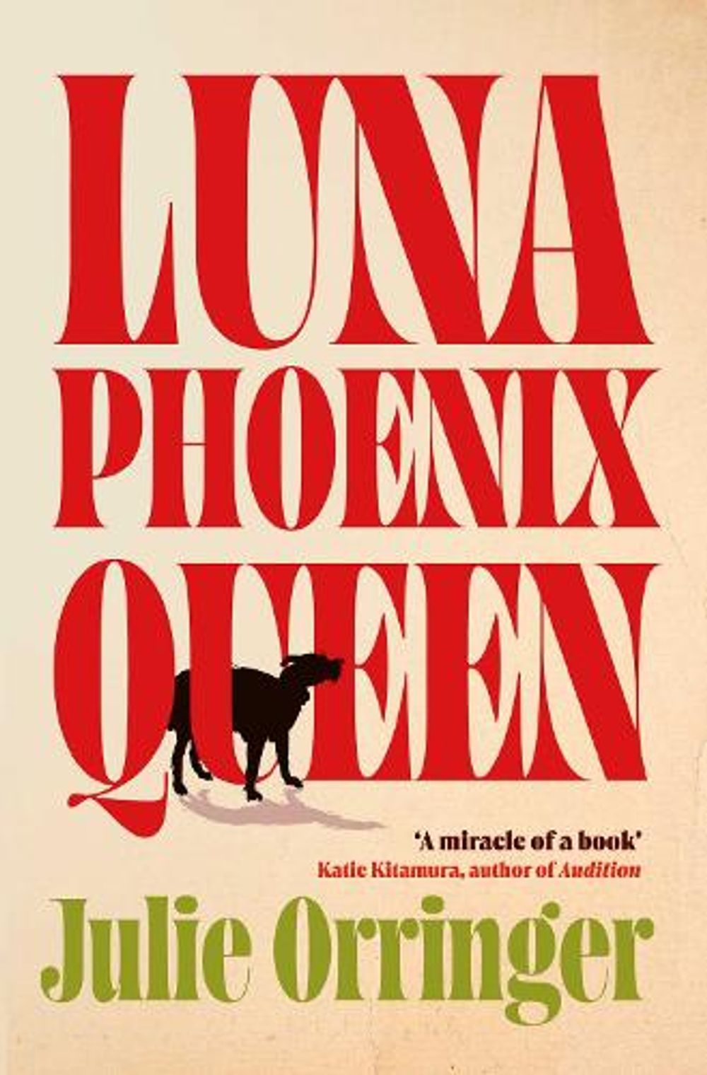 Luna, Phoenix, Queen by Julie Orringer - ISBN: 9781398552784