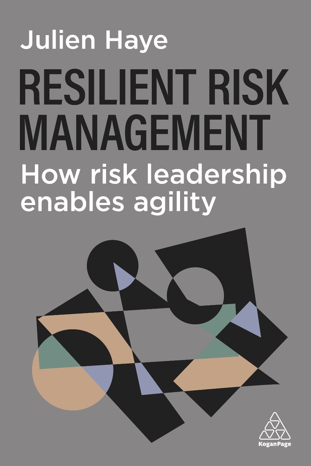 Resilient Risk Management by Julien Haye - ISBN: 9781398629349