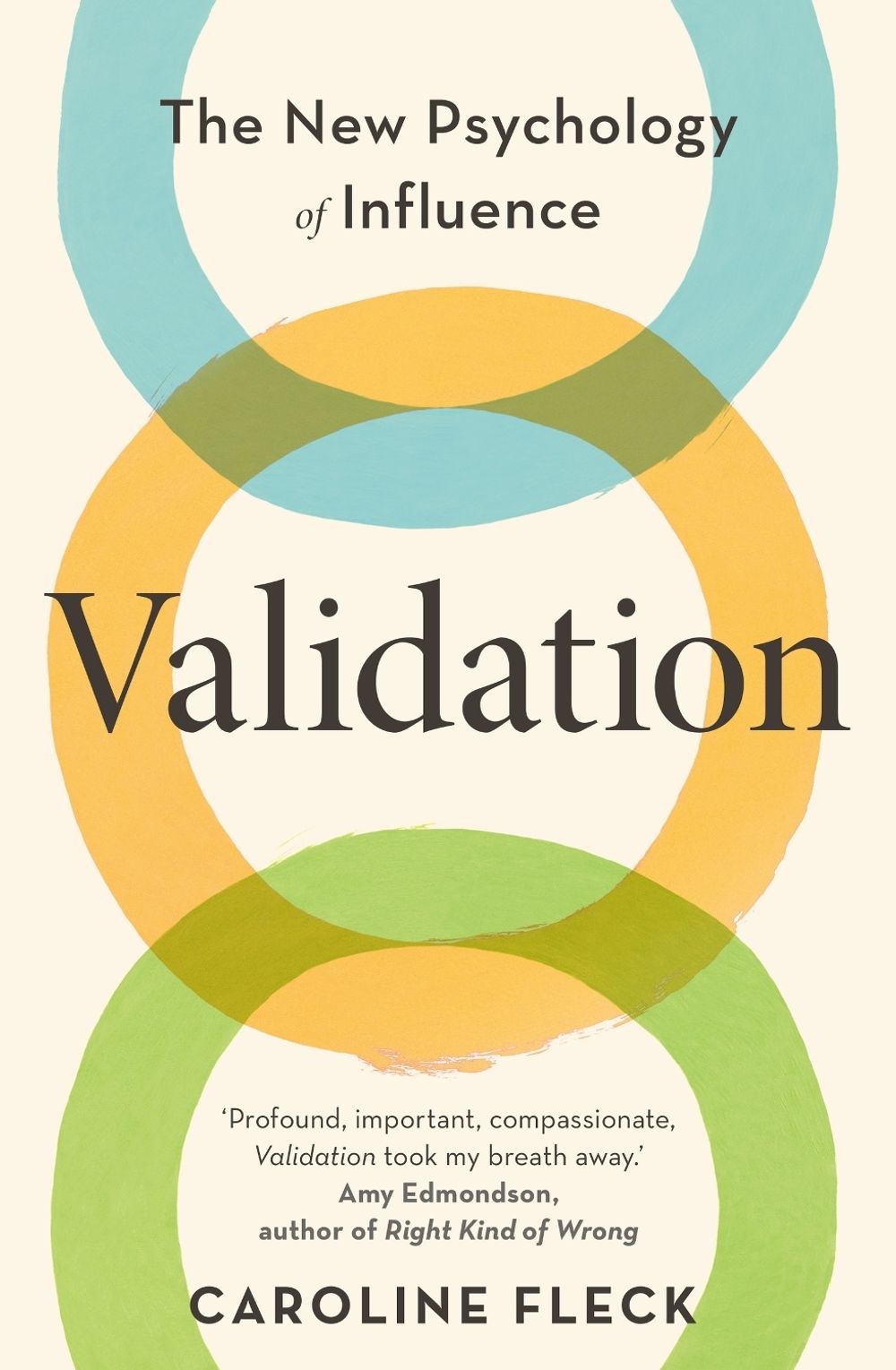 Validation by Caroline Fleck - ISBN: 9781398713161