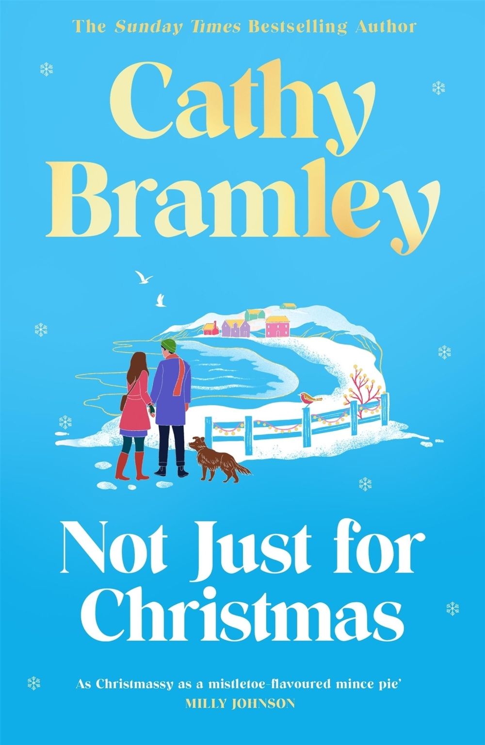 Not Just for Christmas by Cathy Bramley - ISBN: 9781398713994
