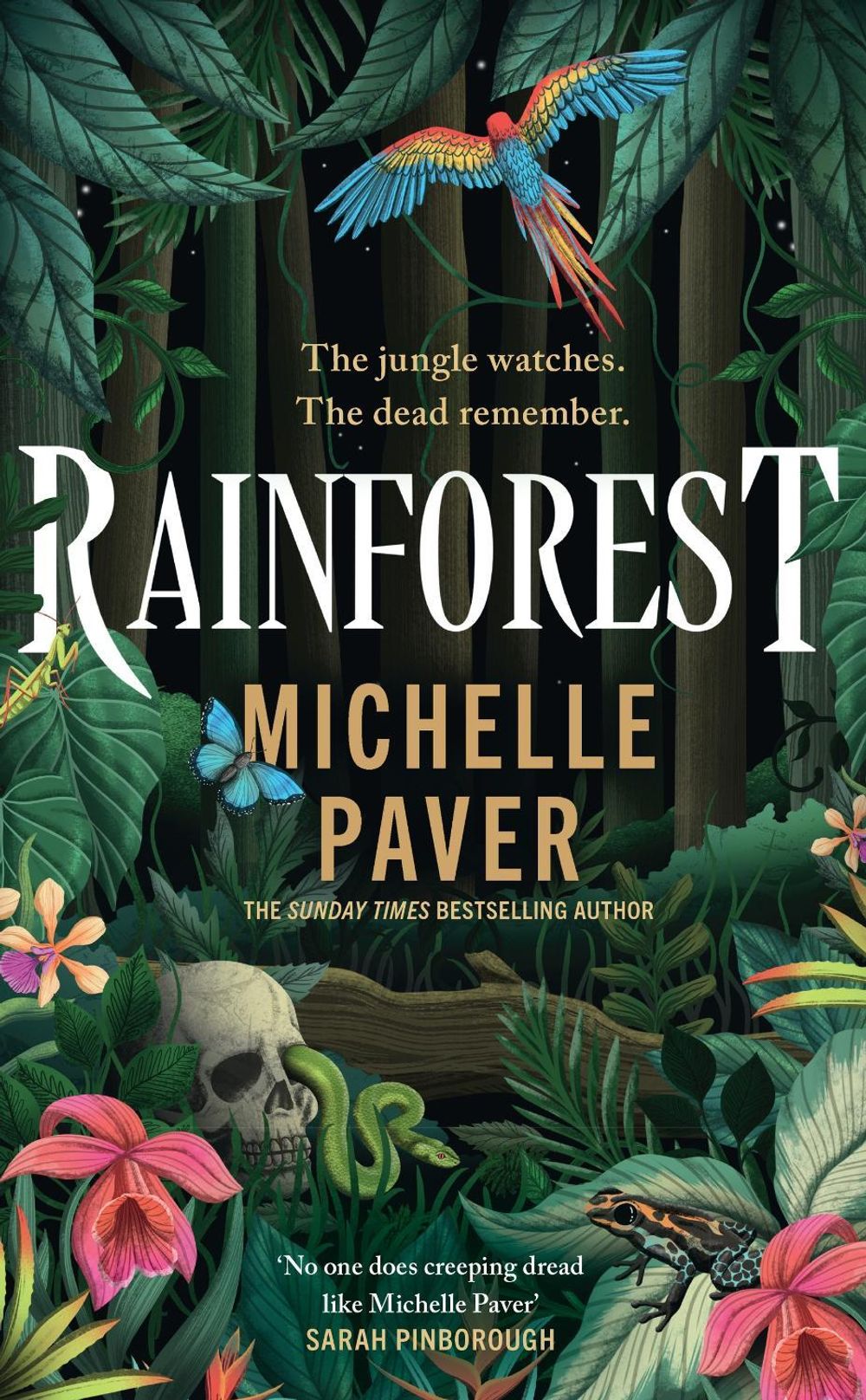Rainforest by Michelle Paver - ISBN: 9781398723207