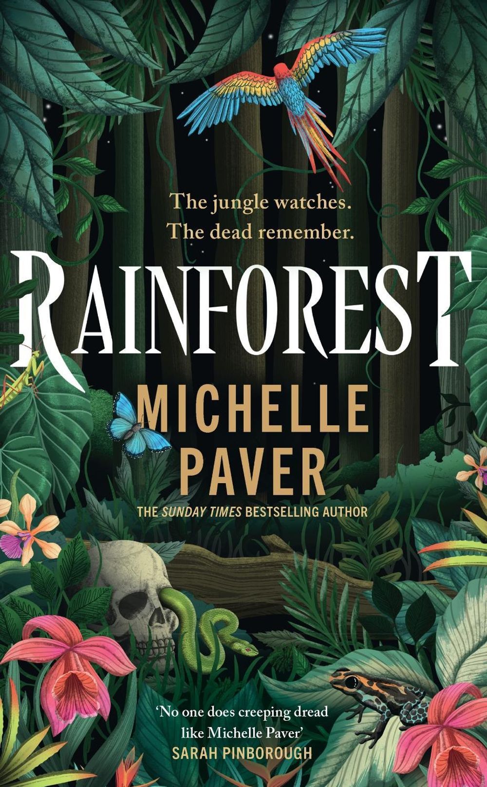 Rainforest by Michelle Paver - ISBN: 9781398723221