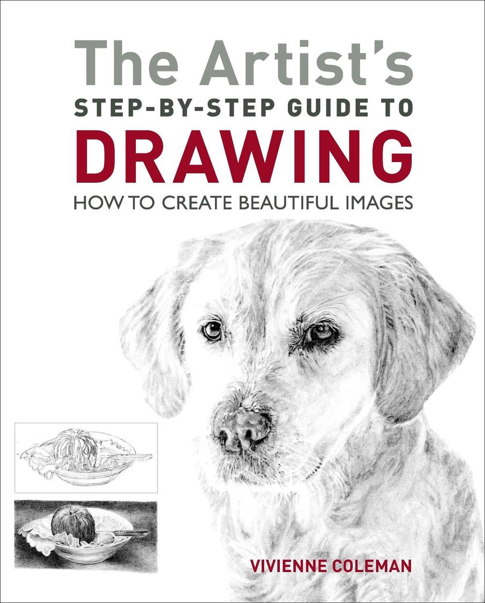 The Artist's Step-by-Step Guide to Drawing, 9781398803848