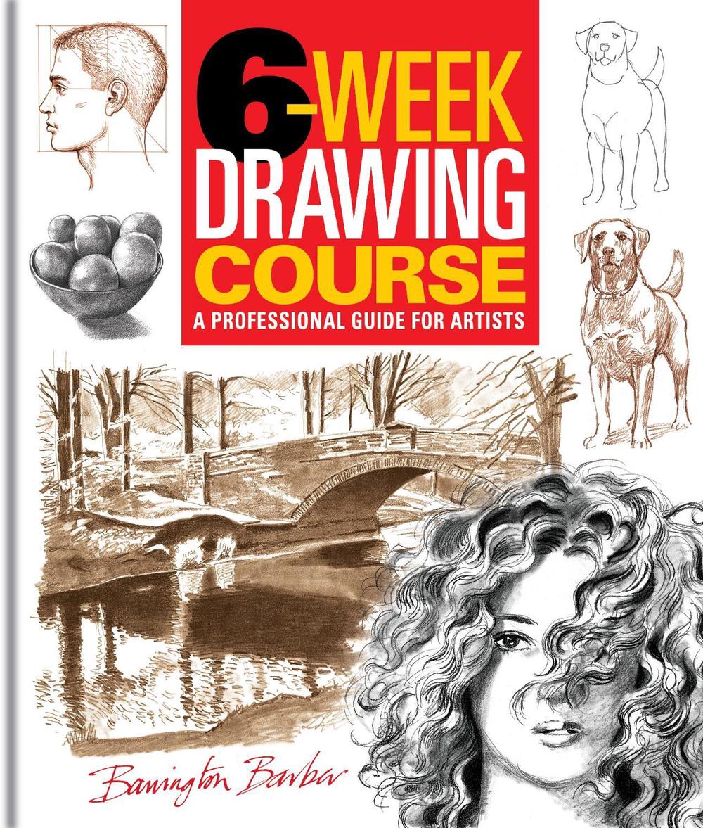 6-Week Drawing Course, 9781398862883