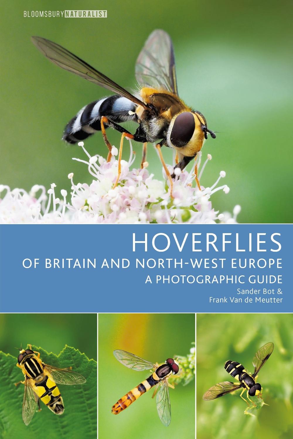 Hoverflies of Britain and North-west Europe, 9781399402453