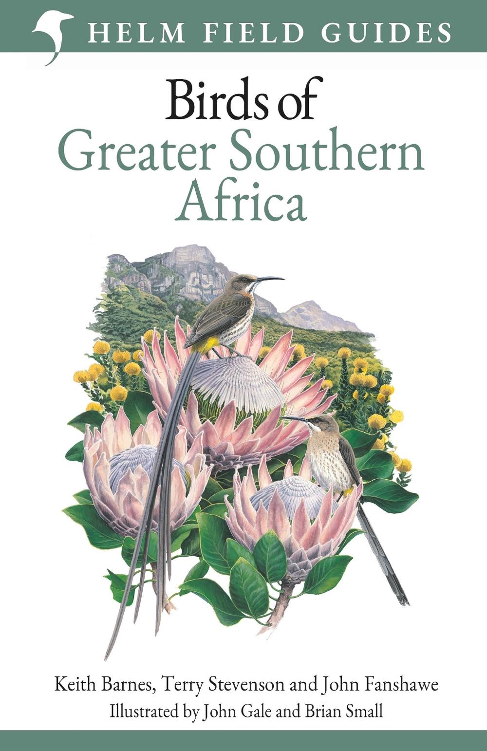 Field Guide to Birds of Greater Southern Africa, 9781399403221