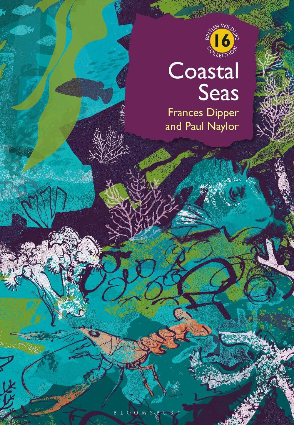 Coastal Seas, 9781399404761