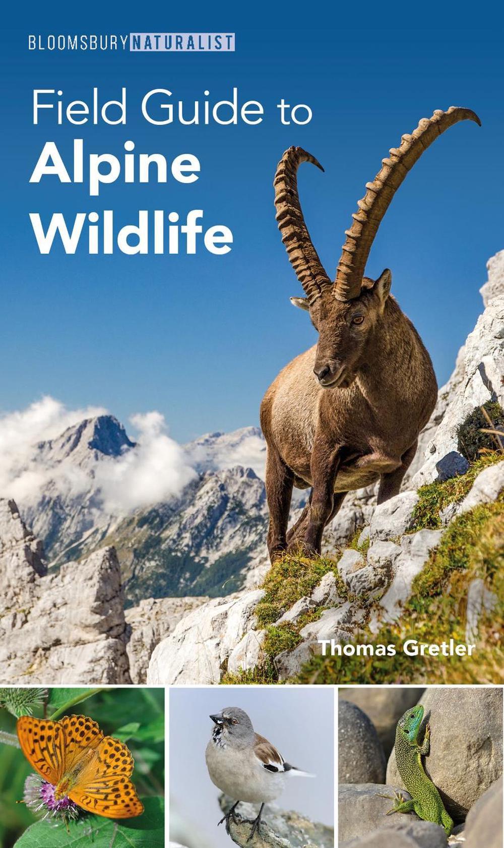 Field Guide to Alpine Wildlife, 9781399409414