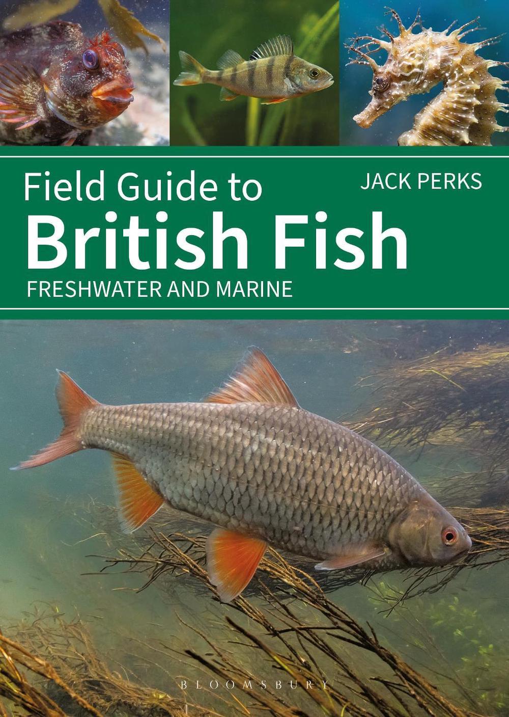 Field Guide to British Fish, 9781399412254