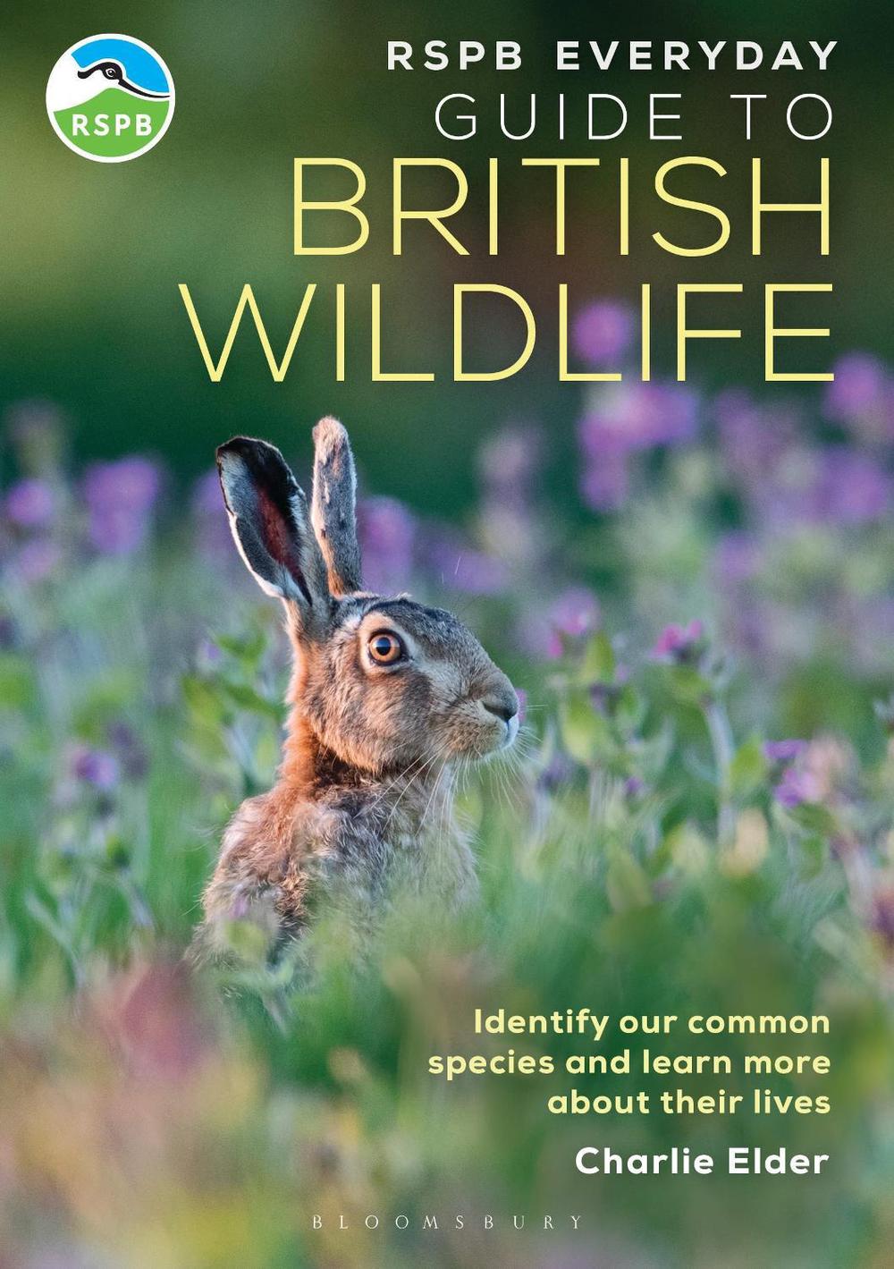 RSPB Everyday Guide to British Wildlife, 9781399413329