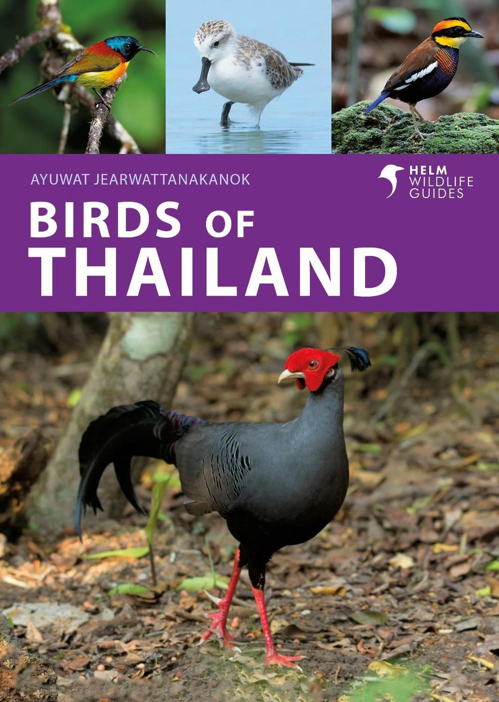 Birds of Thailand, 9781399414715