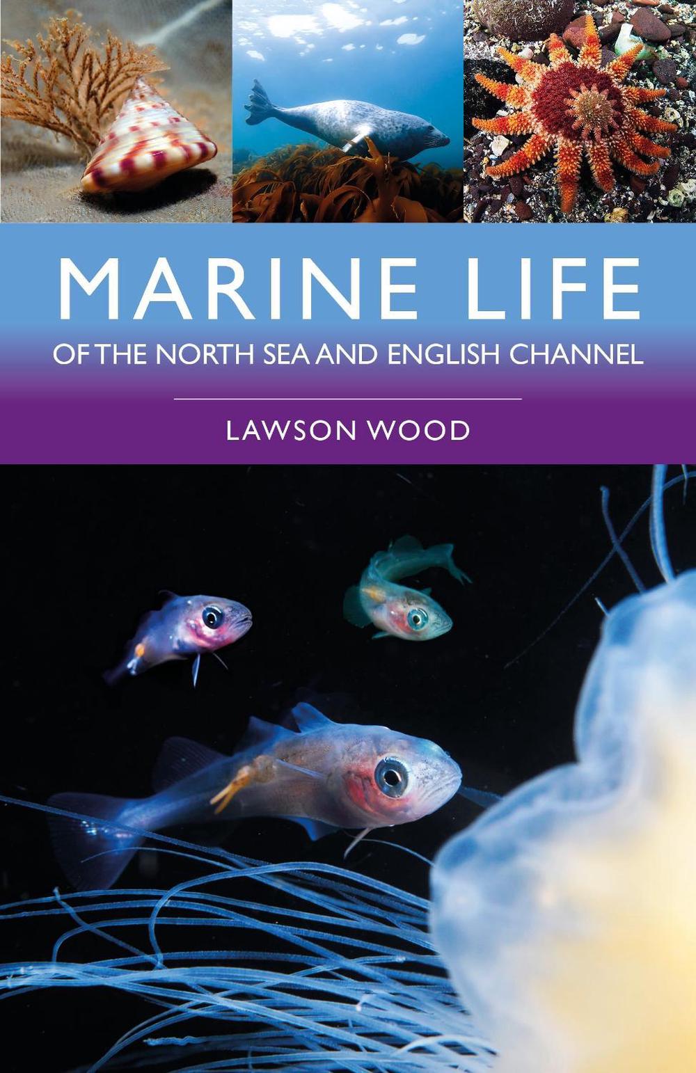 Marine Life of the North Sea and English Channel, 9781399415521