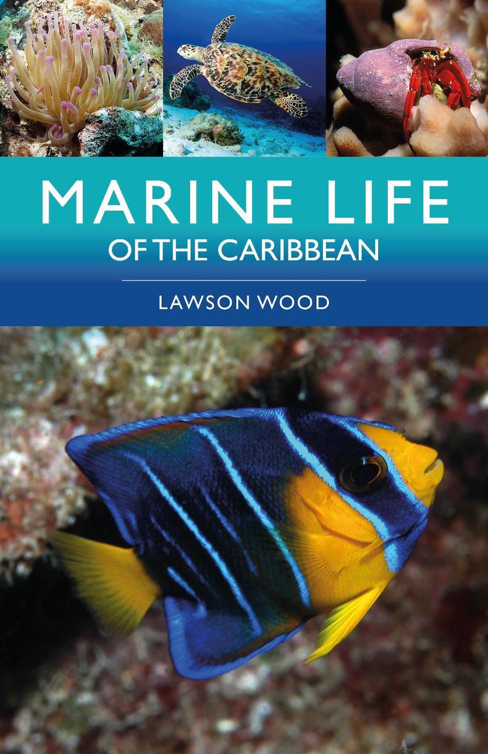 Marine Life of the Caribbean, 9781399419352