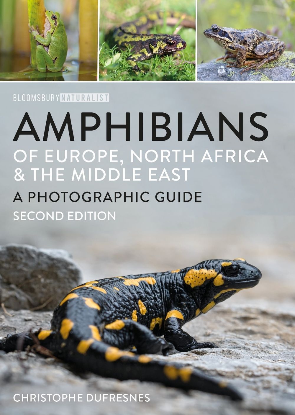 Amphibians of Europe, North Africa and the Middle East by Christophe Dufresnes - ISBN: 9781399423915