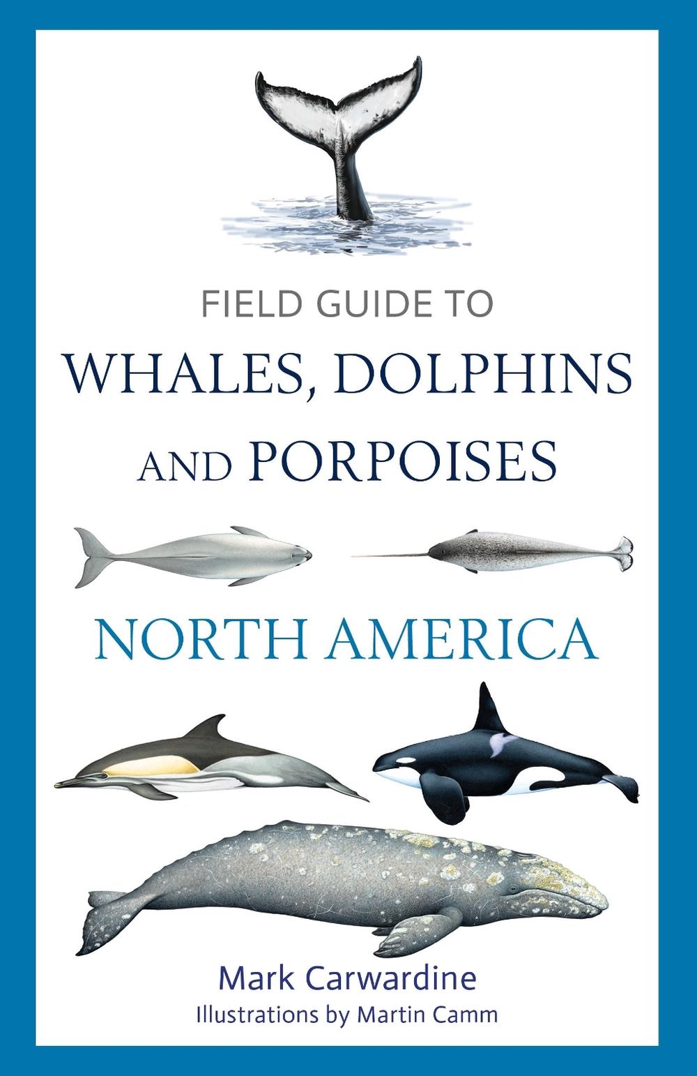 Field Guide to Whales, Dolphins and Porpoises of North America, 9781399424417