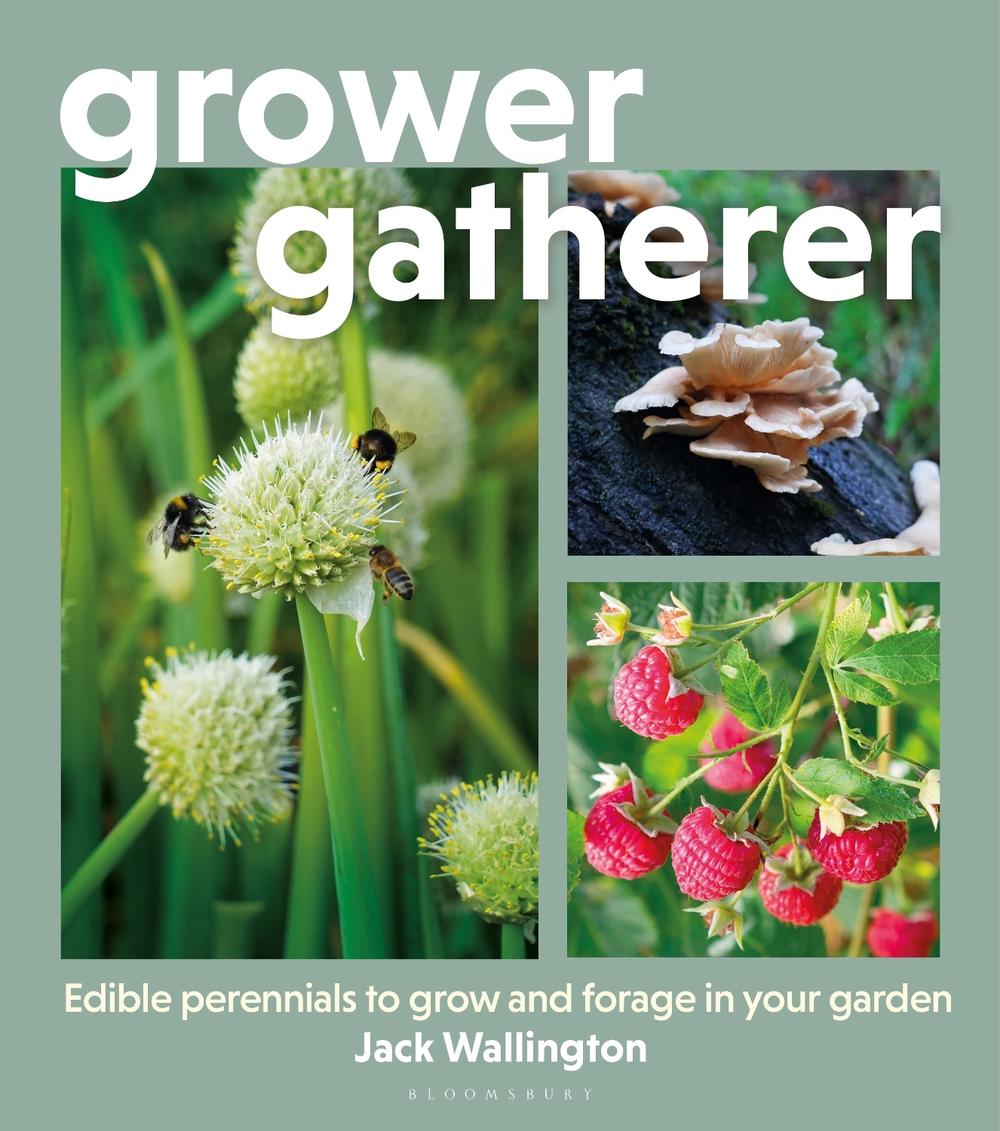 Grower Gatherer by Jack Wallington - ISBN: 9781399426855