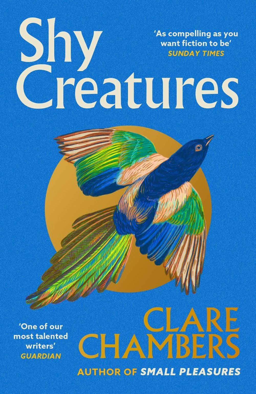 Shy Creatures by Clare Chambers - ISBN: 9781399602563
