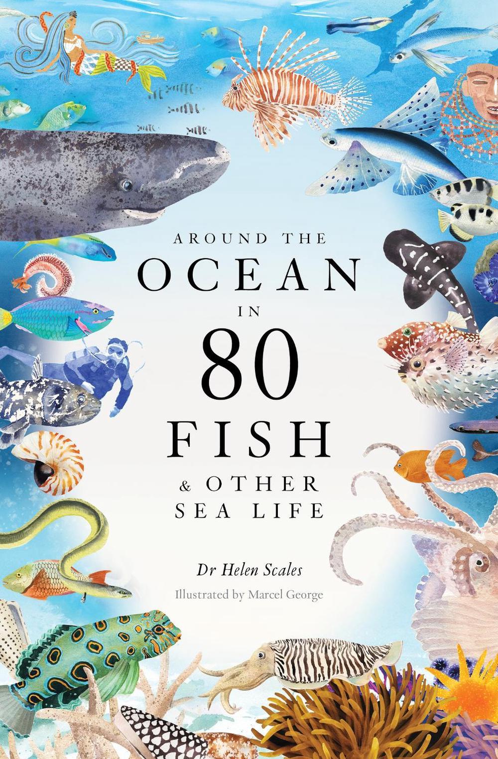 Around the Ocean in 80 Fish and other Sea Life, 9781399602785