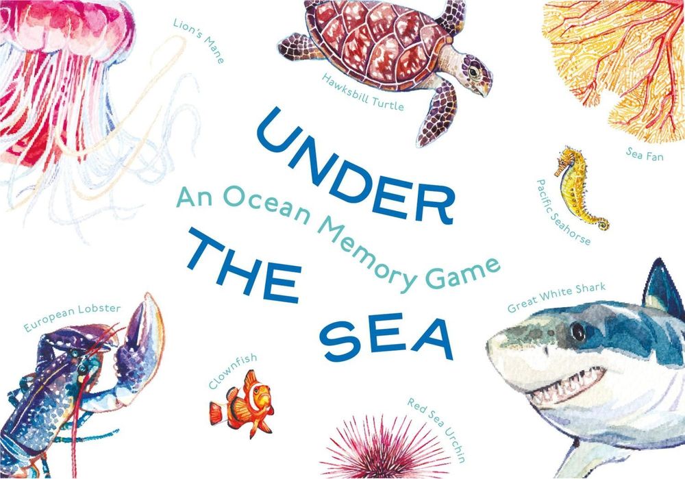 Under the Sea by Mike Unwin - ISBN: 9781399605762