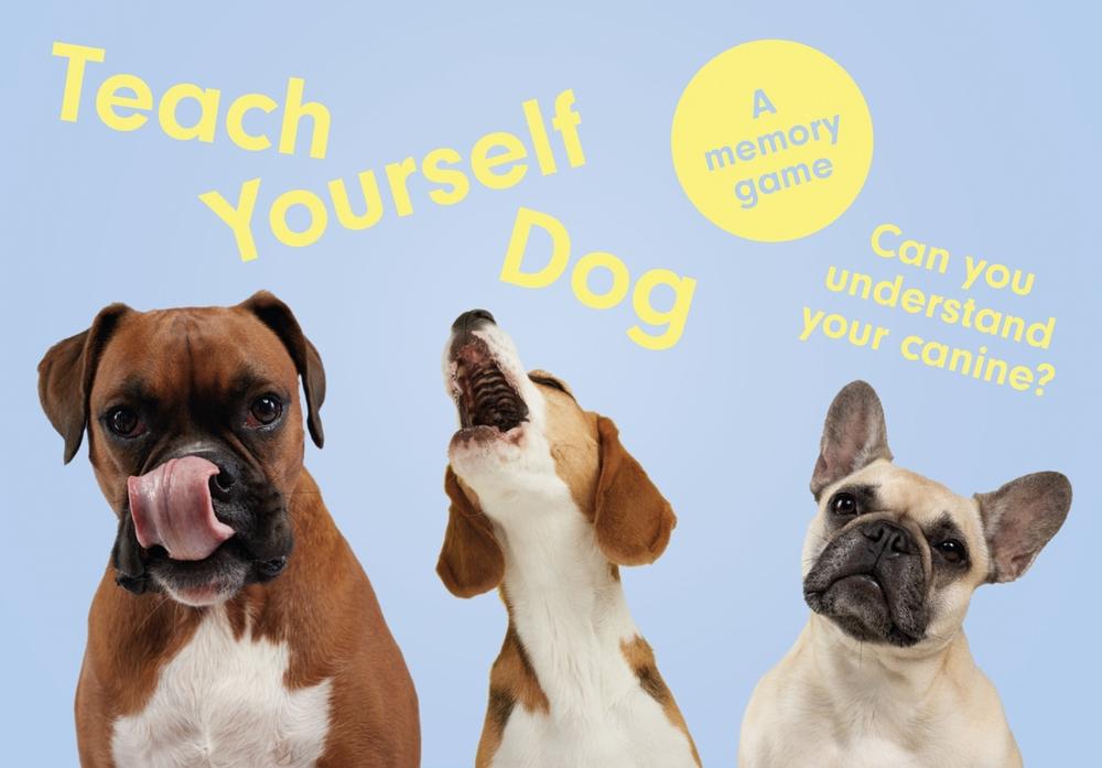 Teach Yourself Dog by Gerrard Gethings - ISBN: 9781399608527