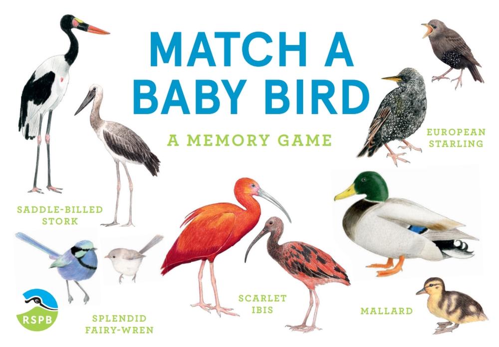 Match a Baby Bird, 9781399608541