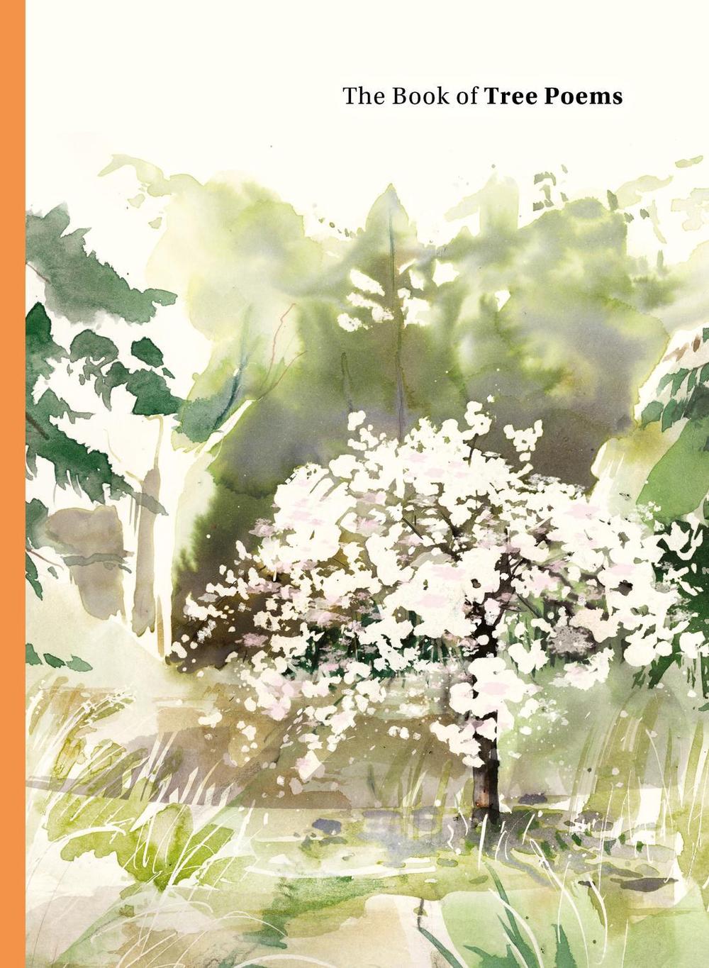 The Book of Tree Poems by Sarah Maycock - ISBN: 9781399609098