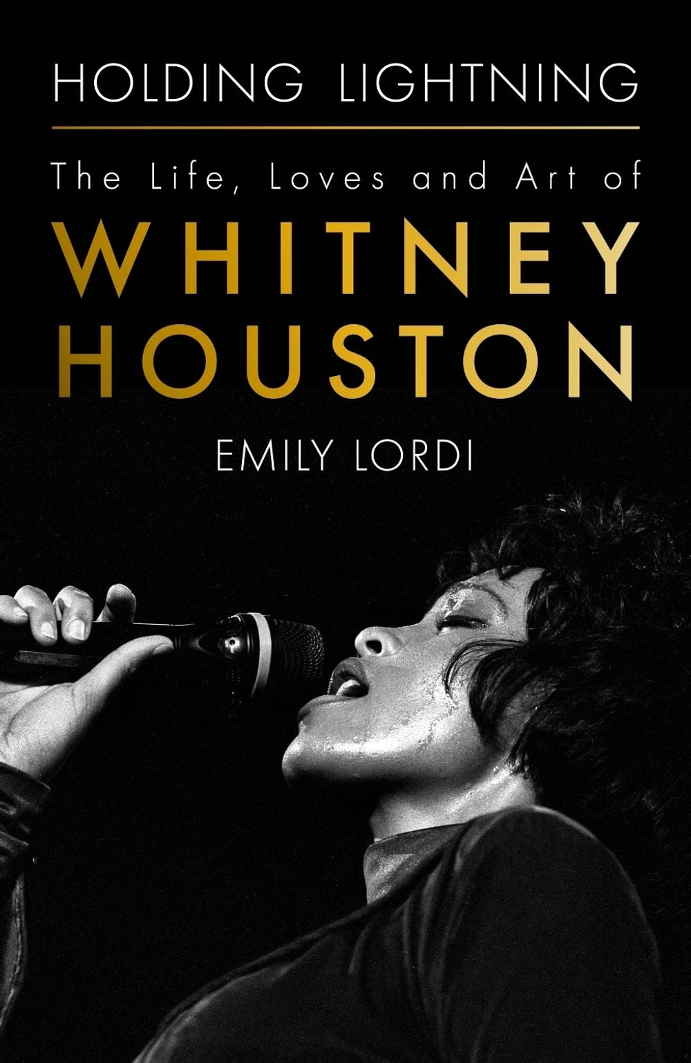 Holding Lightning by Emily Lordi - ISBN: 9781399610612
