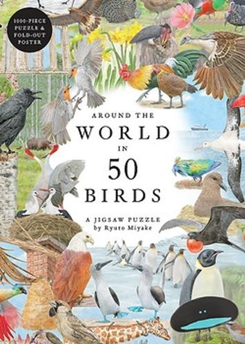 Around the World in 50 Birds by Mike Unwin - ISBN: 9781399620024