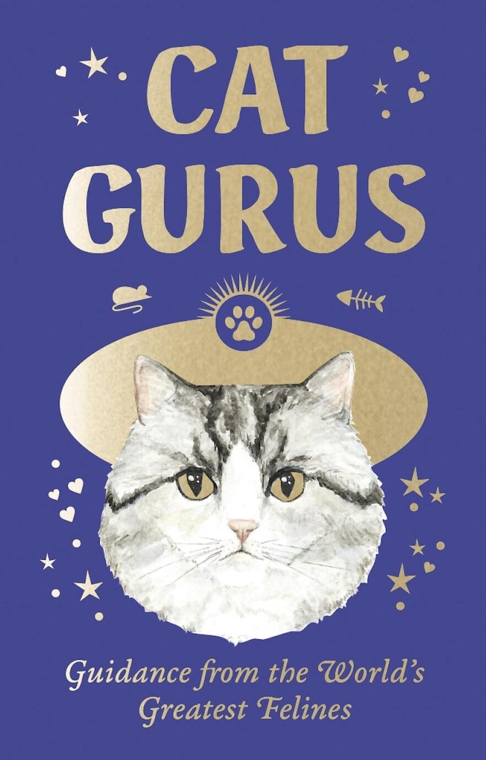 Cat Gurus (Mini Deck), 9781399620871